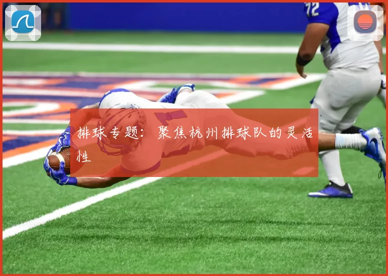 排球专题：聚焦杭州排球队的灵活性