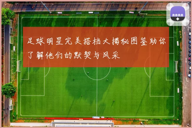 足球明星完美搭档大揭秘图鉴助你了解他们的默契与风采