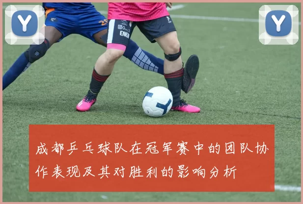 成都乒乓球队在冠军赛中的团队协作表现及其对胜利的影响分析