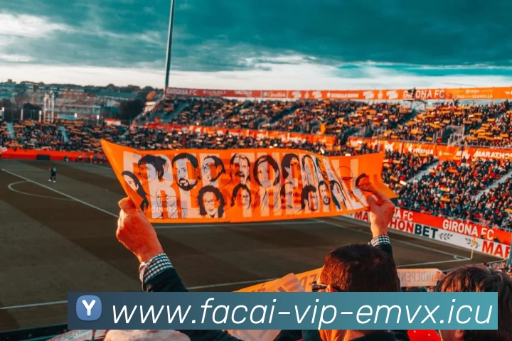 乐鱼体育服务体系